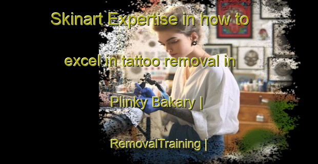 Skinart Expertise in how to excel in tattoo removal in Plinky Bakary | RemovalTraining | RemovalClasses | SkinartTraining-Gambia